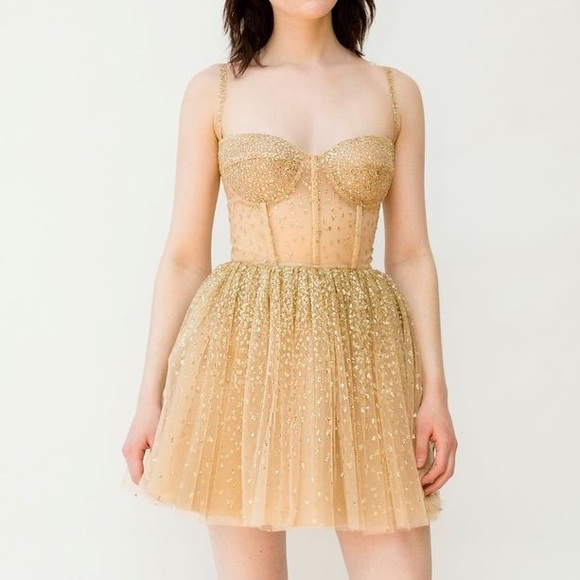 Lirika Matoshi Dresses & Skirts - Lirika Matoshi Cascading Shimmer Mini Dress Gold Small